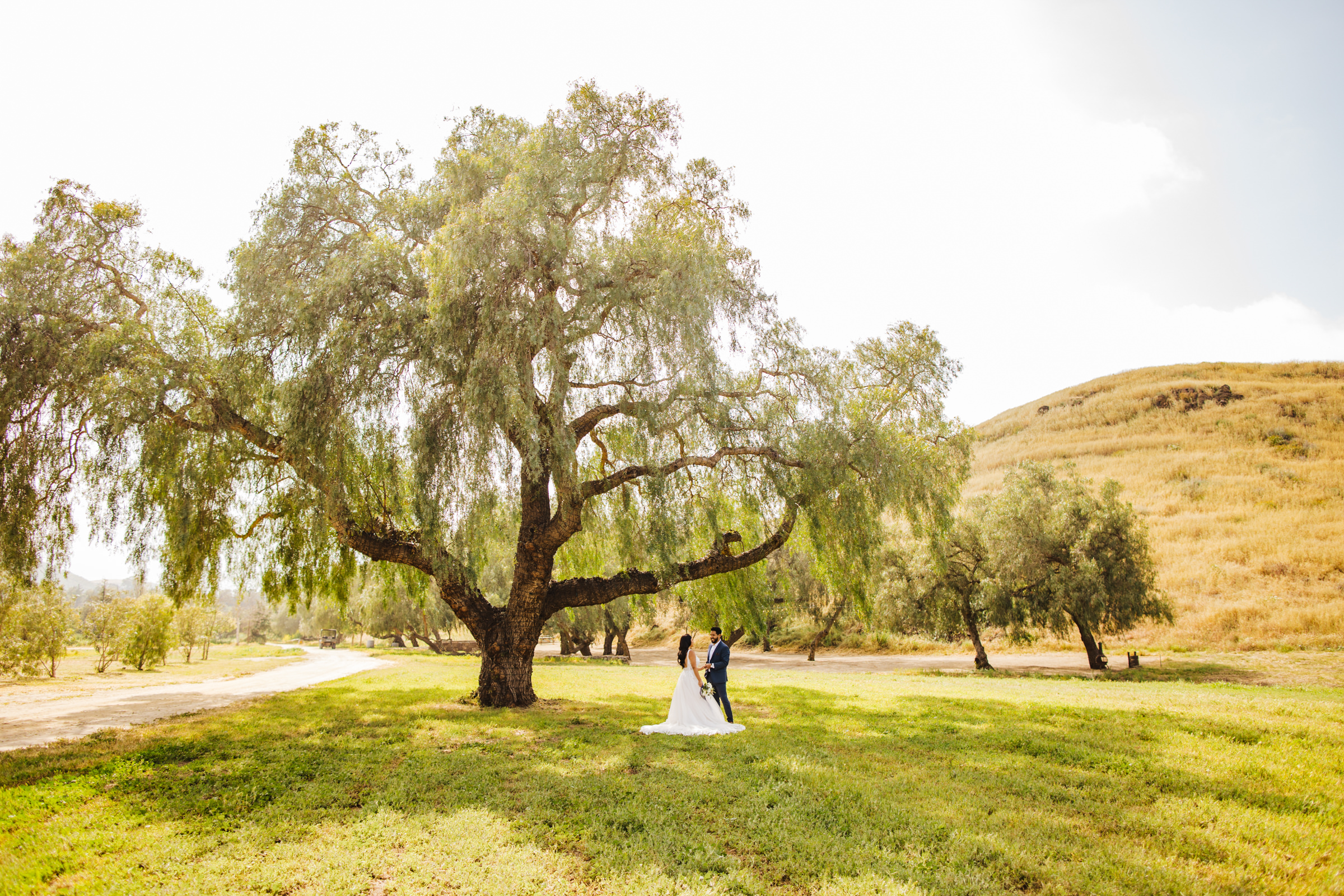 Ceremony tree at Wolfe Canyon Ranch in Simi Valley, CA