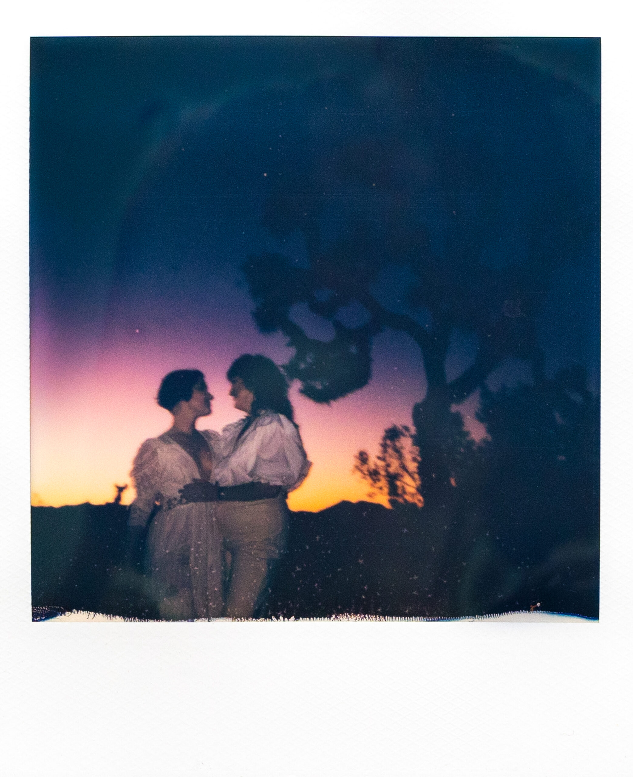 Joshua Tree sunset Polaroid