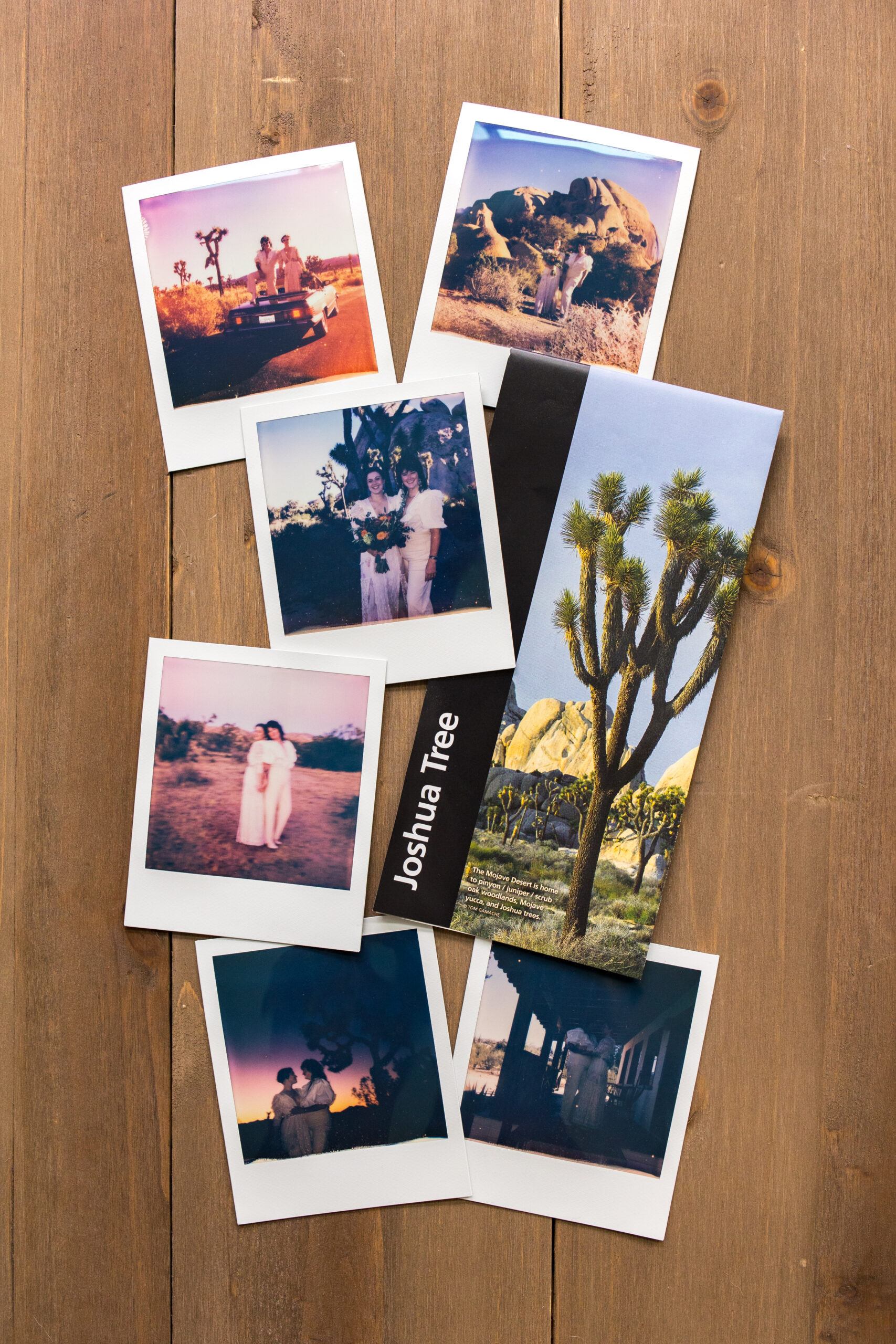 Collection of Polaroids from a Joshua Tree elopement with park brochure on wooden backdrop