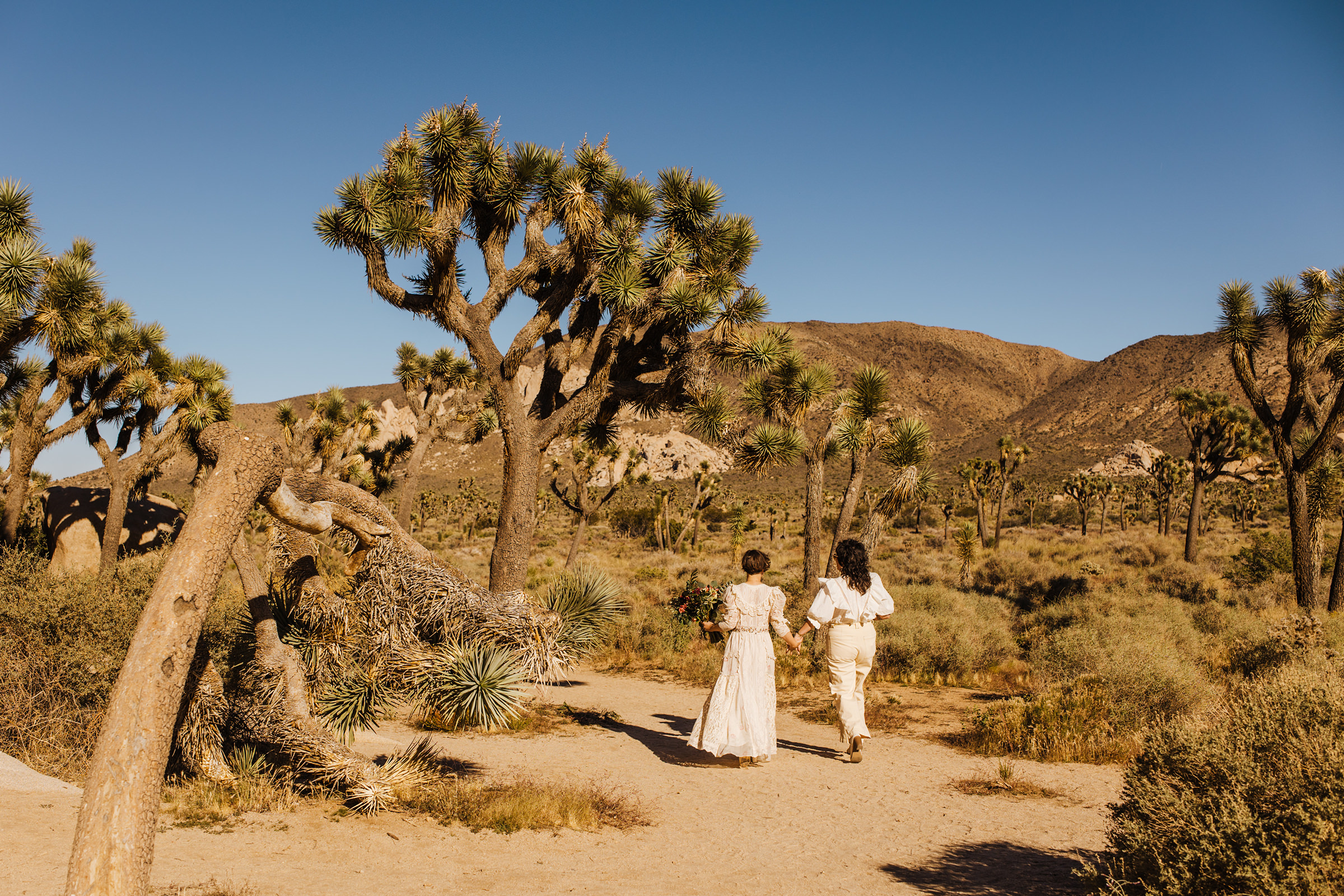 Joshua Tree elopement two brides