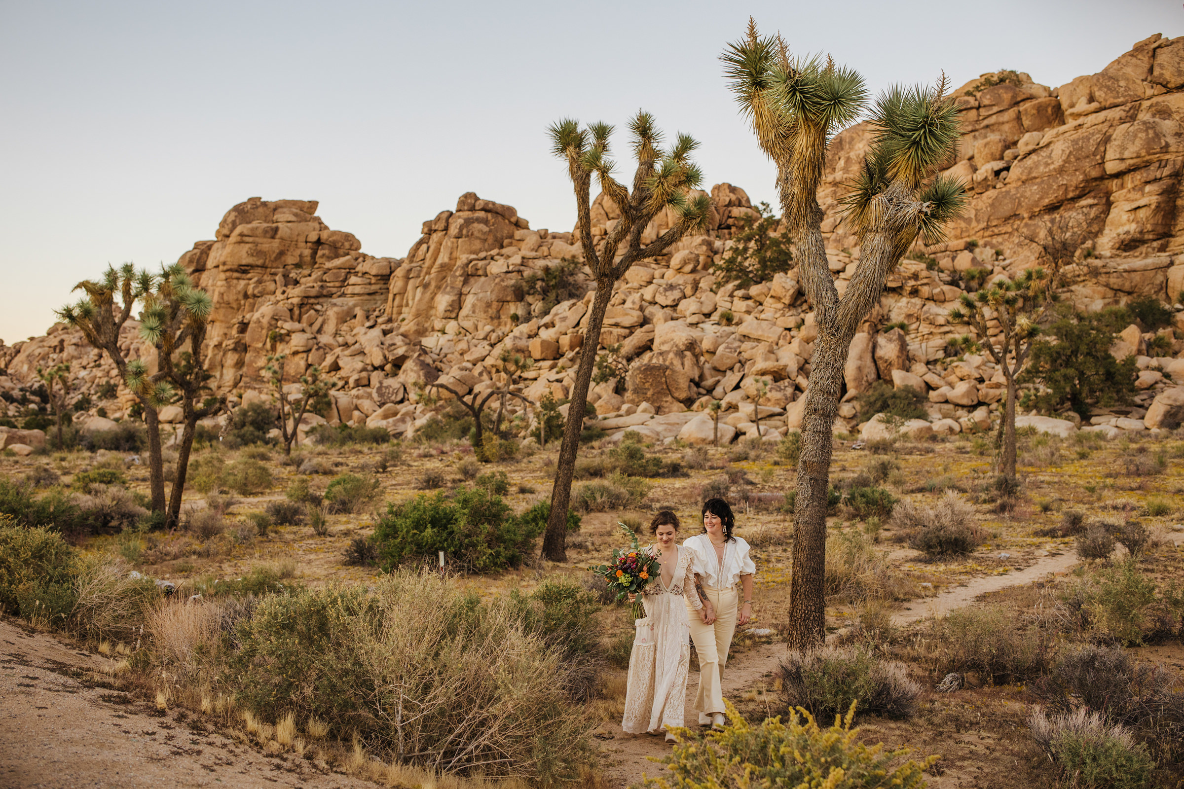 Wedding portraits in Joshua Tree National Park