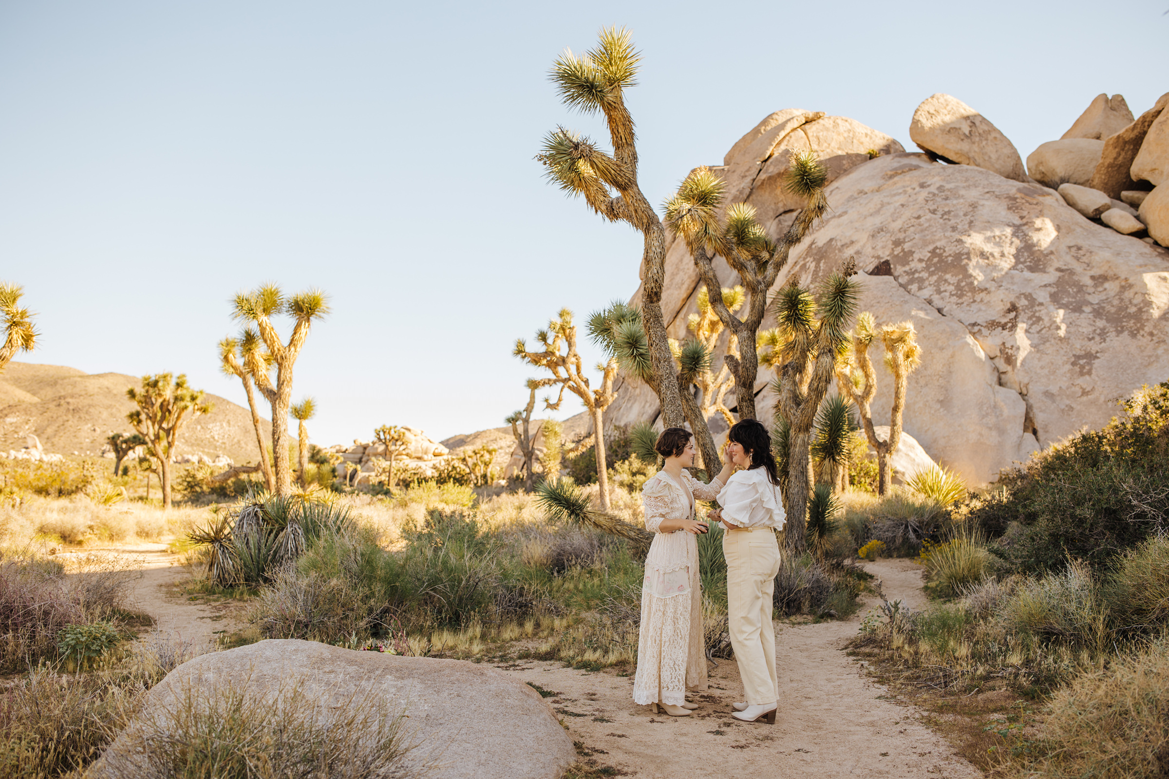 Joshua Tree elopement at Cap Rock