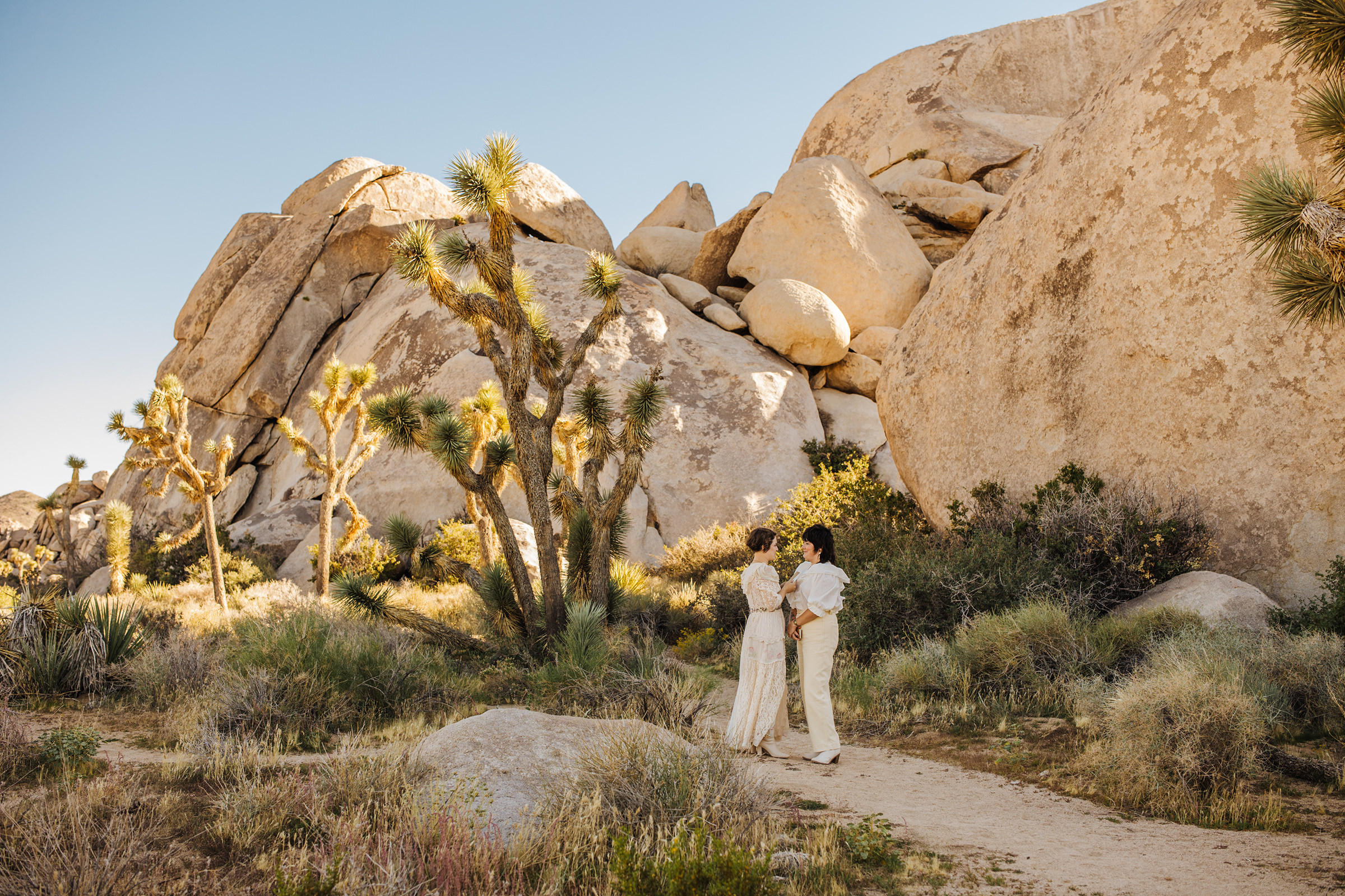 Joshua Tree elopement ceremony location
