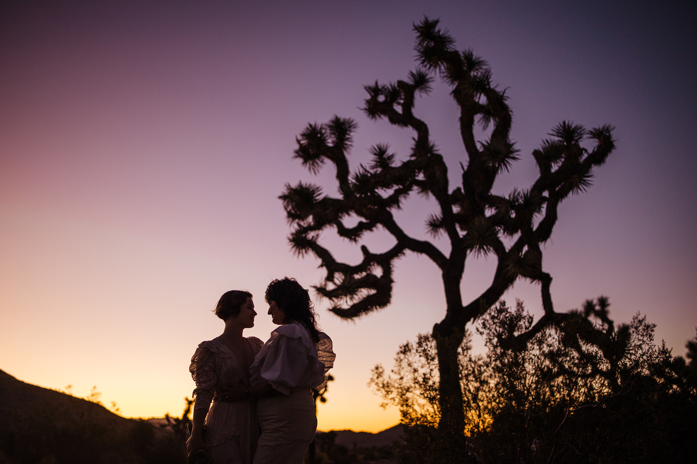 Joshua Tree elopement silhouette tree