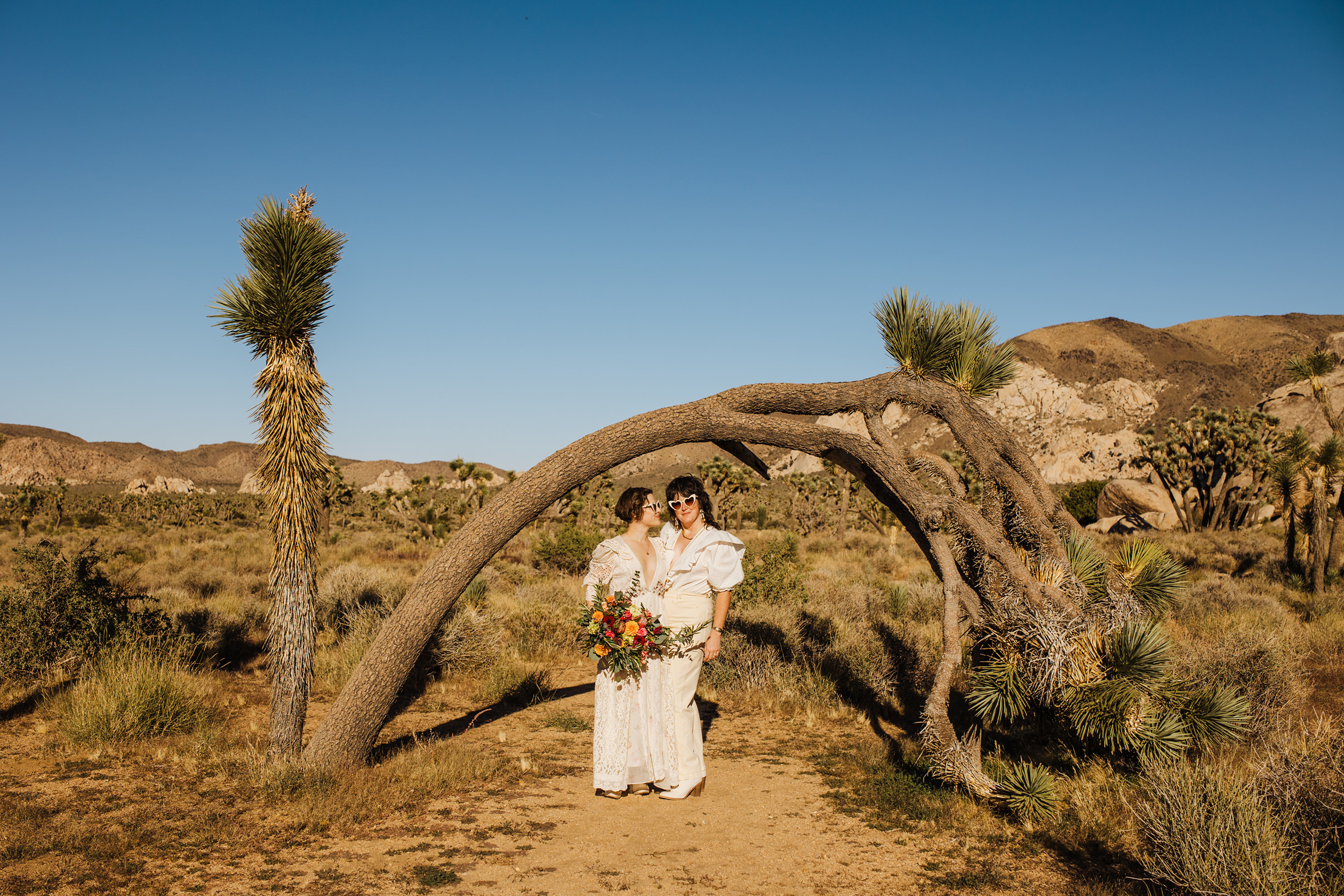 Joshua Tree elopement arch tree